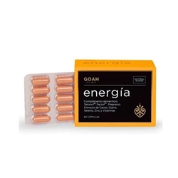 Goah Energía - Imagen 1